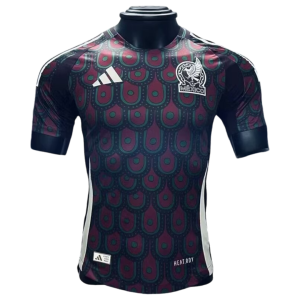 24-25 Mexico Home Kit Player Version