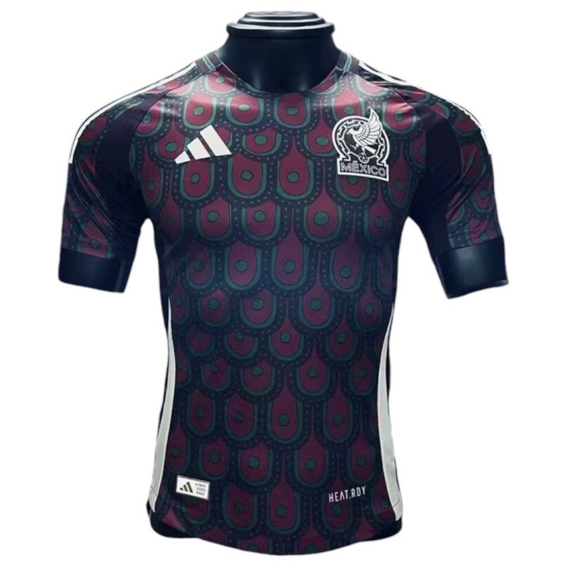 24-25 Mexico Home Kit Player Version