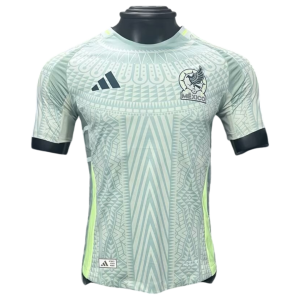 24-25 Mexico Away Kit Player Version