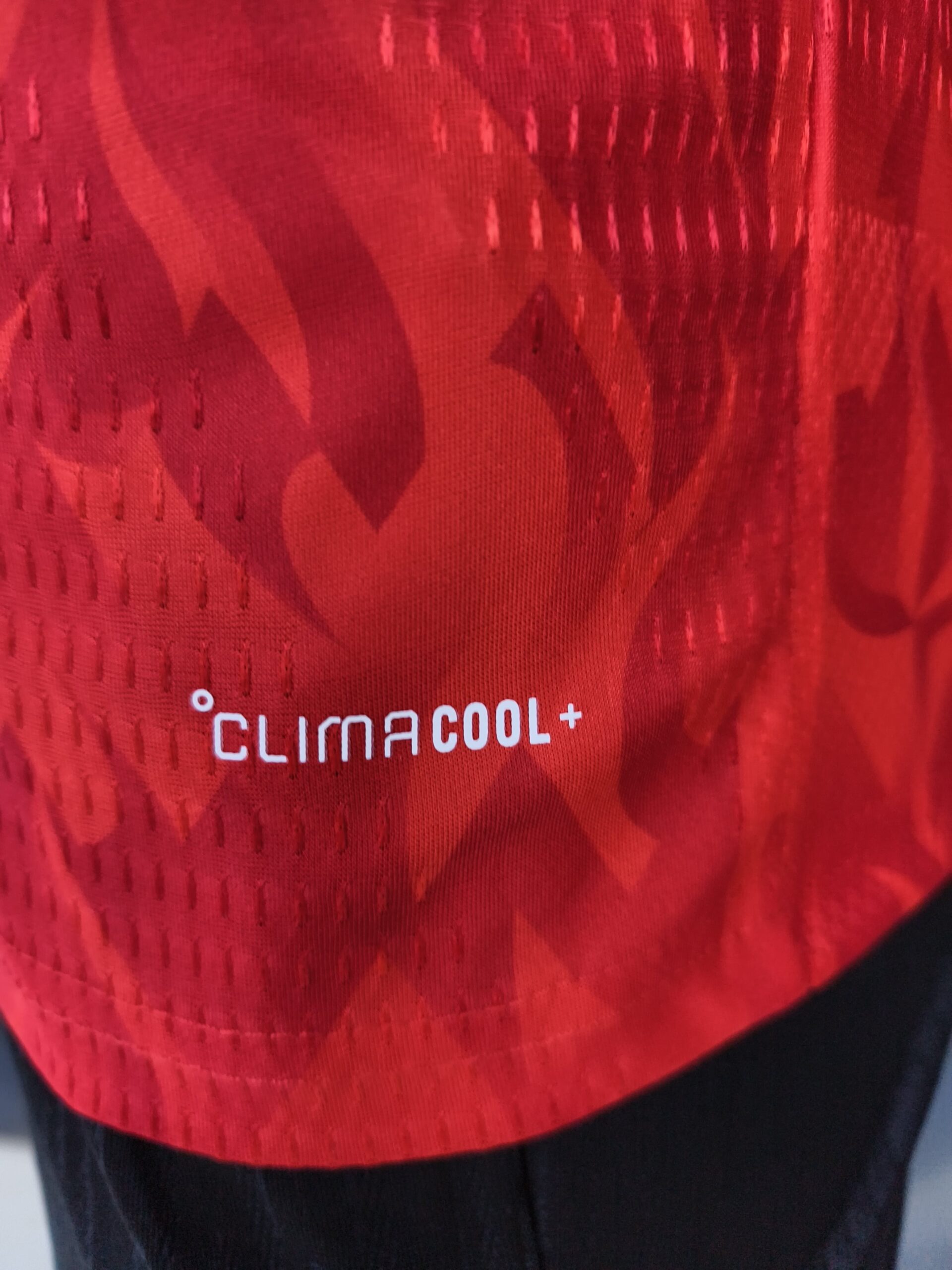 25/26 Begium Home Kit Player Version - Image 5